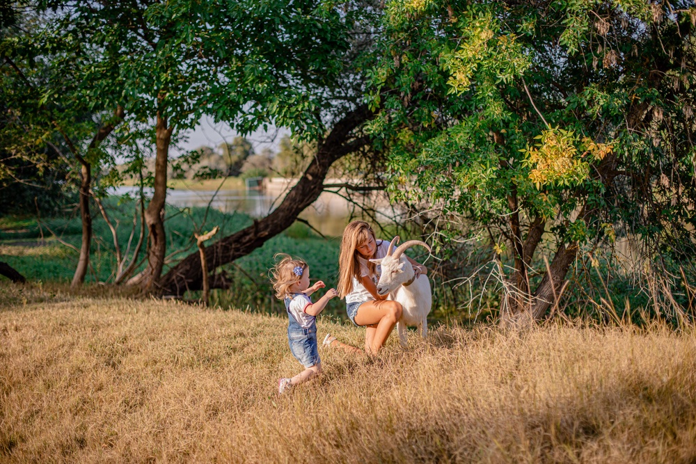 Экоусадьба "Заманиха"