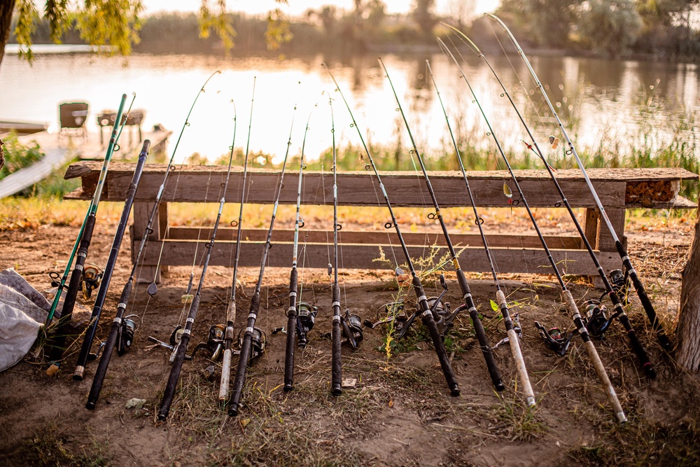 Экоусадьба "Заманиха"