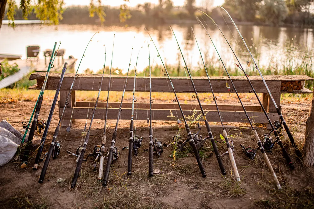 Экоусадьба "Заманиха"