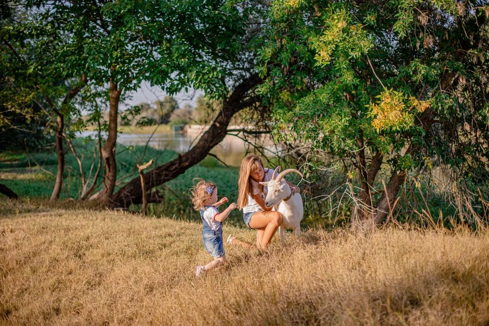 Экоусадьба "Заманиха"